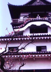犬山城
