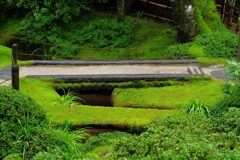 土橋
