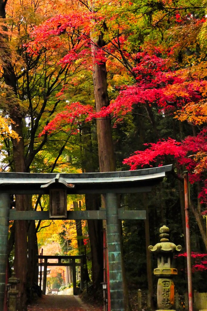 東海道を歩く　土山　田村神社