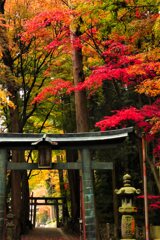 東海道を歩く　土山　田村神社