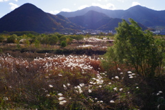 千曲川　戸倉