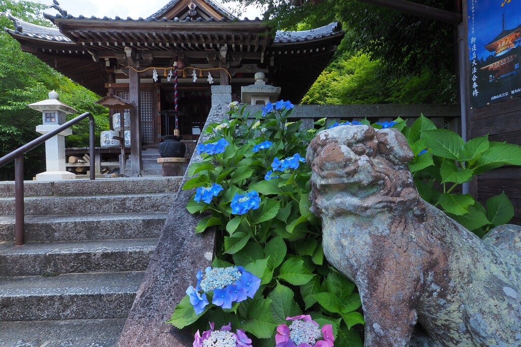 西江寺