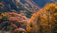 中山道を歩く　贄川