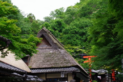 嵯峨野