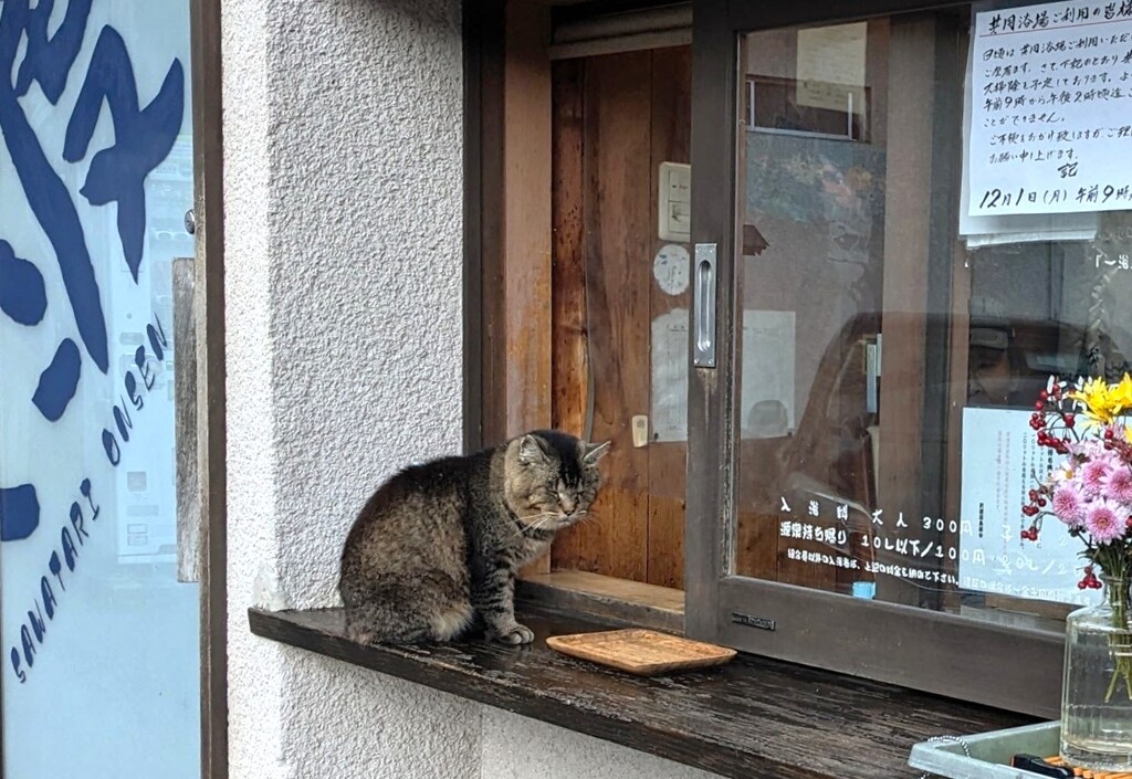 共同浴場の受付猫