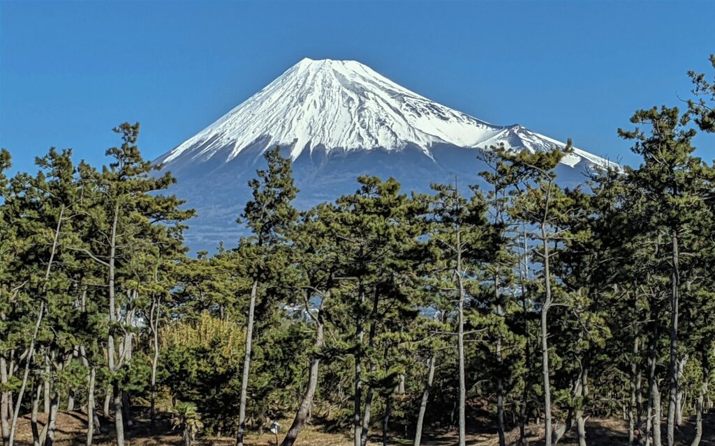 東海道を歩く　田子の浦　