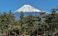 東海道を歩く　田子の浦　