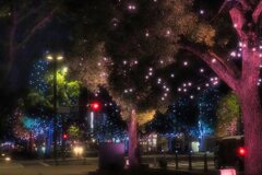 夜の大手前通
