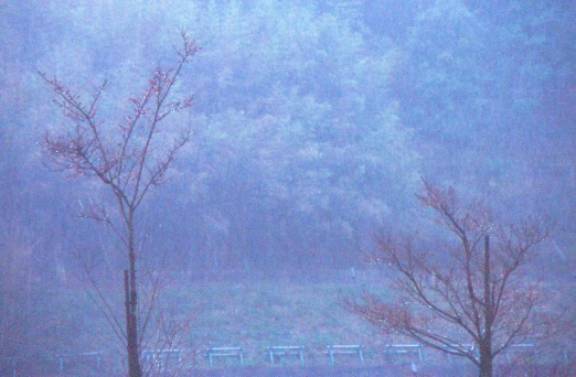 冬の雨