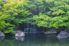 初夏の庭園