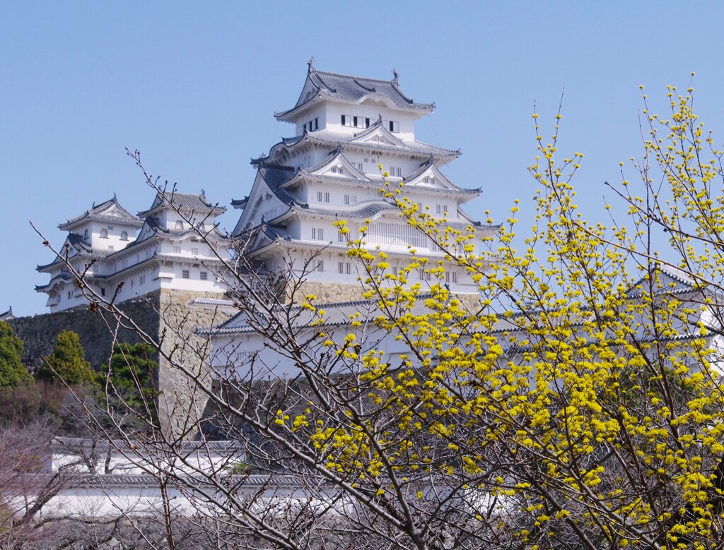 春の姫路城