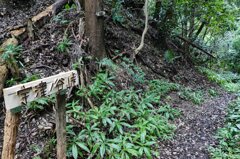 東海道を歩く　宇津ノ谷峠