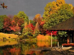 2005年　福井　養浩館