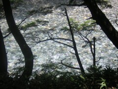 梓川の流れ