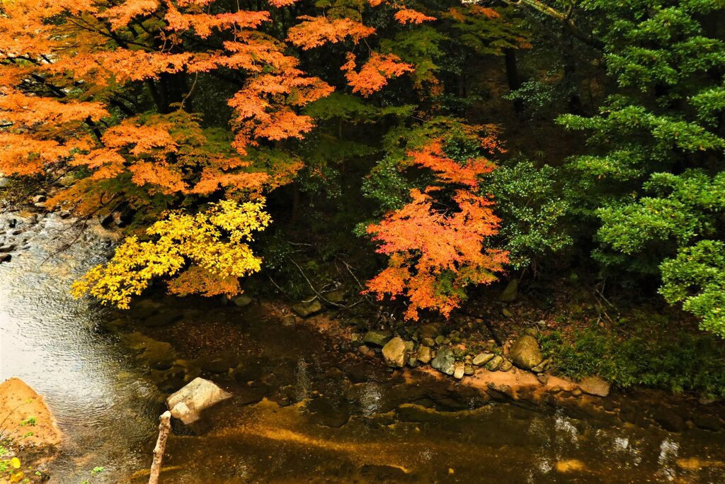 東海道を歩く　坂下