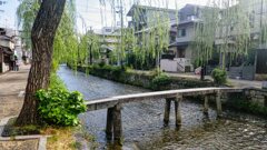 東海道を歩く　京都白川