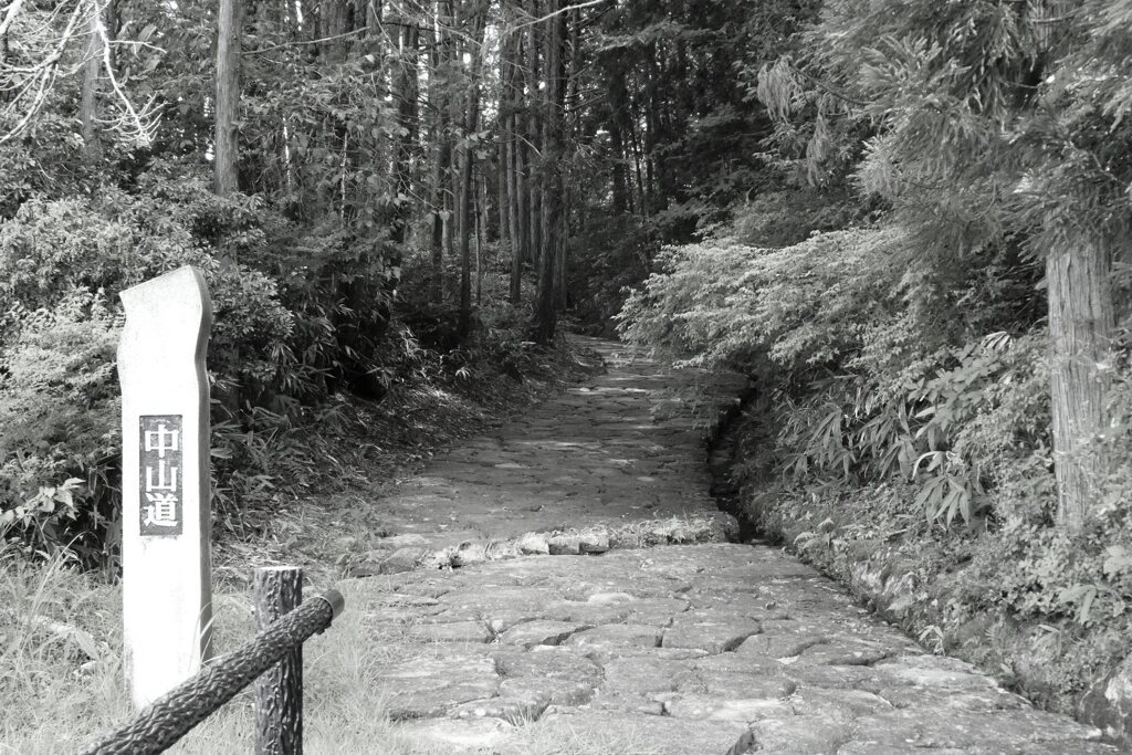 中山道を歩く　十曲峠へ向かう