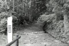 中山道を歩く　十曲峠へ向かう