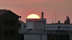 日没