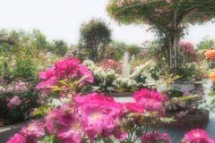 花の園