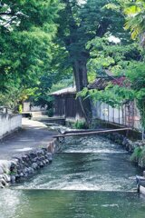 中山道を歩く(最終回）　板鼻堰用水路
