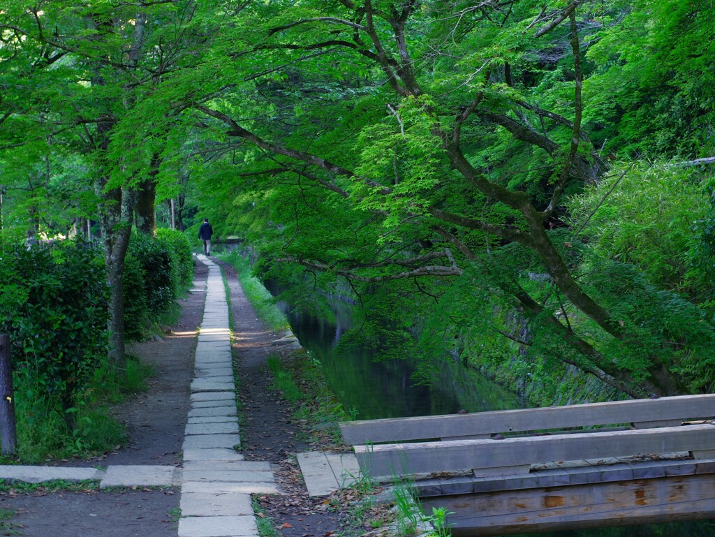 哲学の道