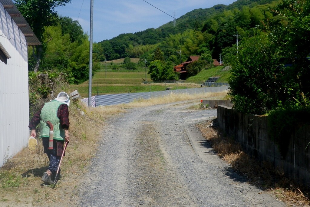 田舎道