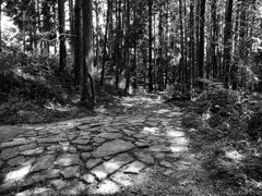 中山道を歩く　十三峠