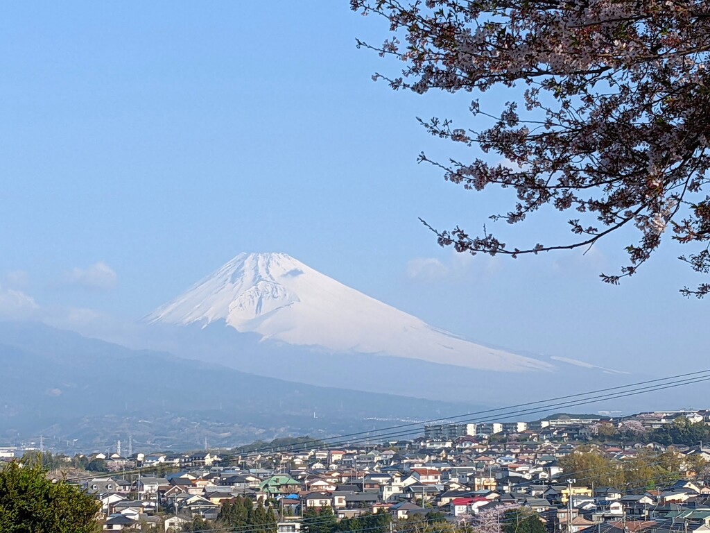 東海道を歩く　三島から箱根へ向かう