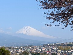 東海道を歩く　三島から箱根へ向かう