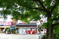 村のオアシス