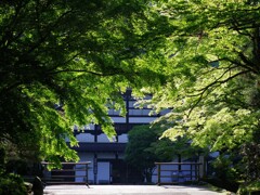 南禅寺の朝