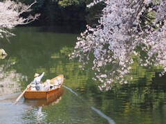花見