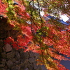 上田城跡公園