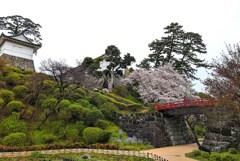 東海道を歩く　小田原城