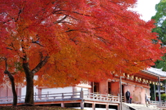 醍醐寺