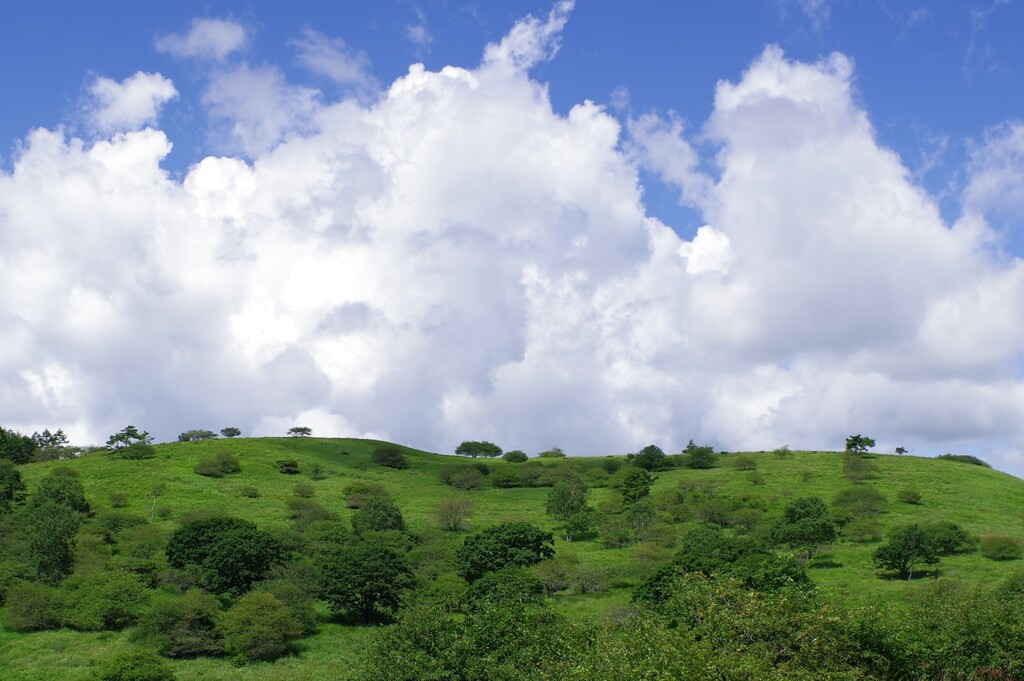 夏空