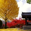 日野誕生院