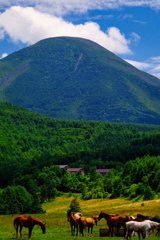 牧場風景-