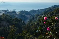 東海道を歩く　白須賀　潮見亭からの眺め