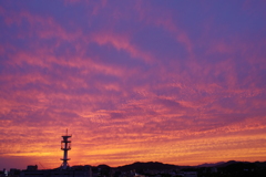 夕焼け