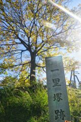 中山道を歩く　一里塚
