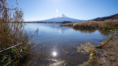 河口湖から見た富士山