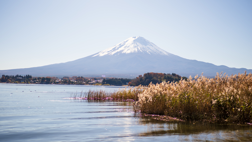 河口湖と富士山