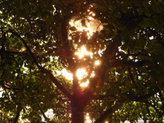 R0012651