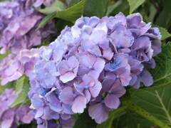 R0012322