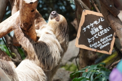 距離をとってください