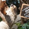 距離をとってください