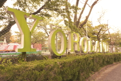 YORO