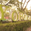 YORO